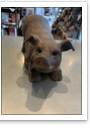 Wood Carved Pig