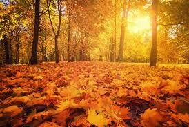 Fall