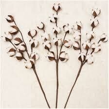 Cotton Stem-large