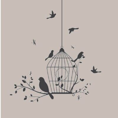 Birdcage Euroscrubby