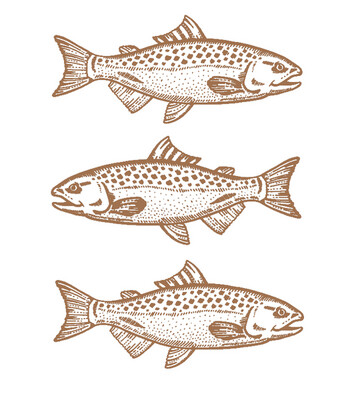 Fish euroscrubby dishcloth