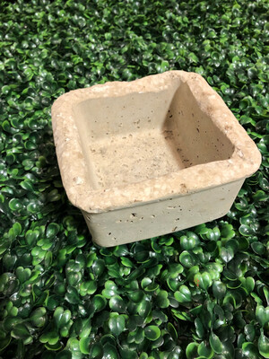 Cement Planters 