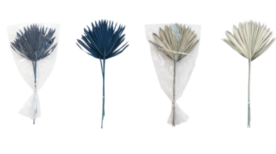 2 Colors Dried Palm Small