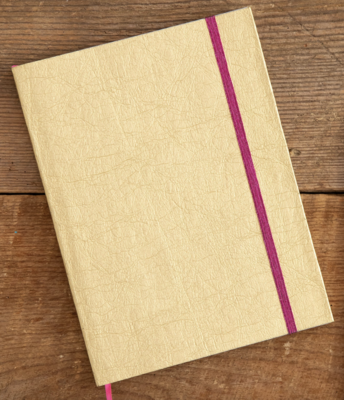 Penny Paper Journal Gold