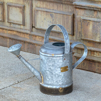 Petite watering can