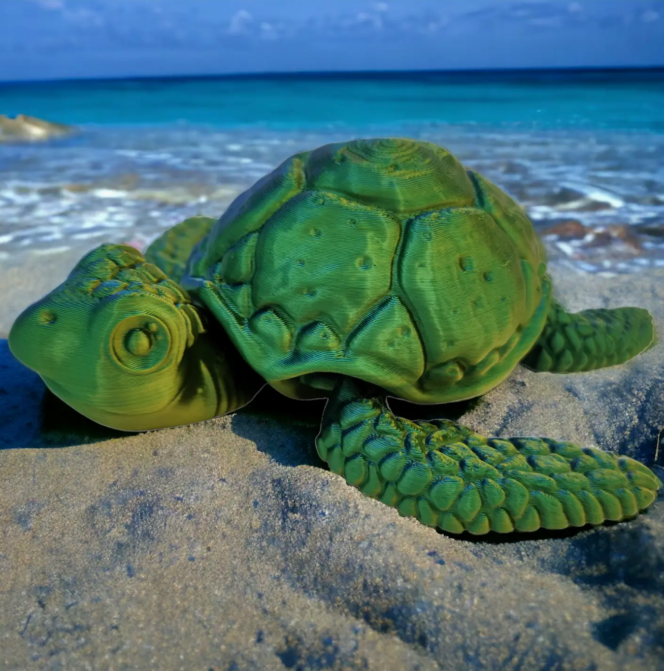 3D Pets- Medium Sea Turtle