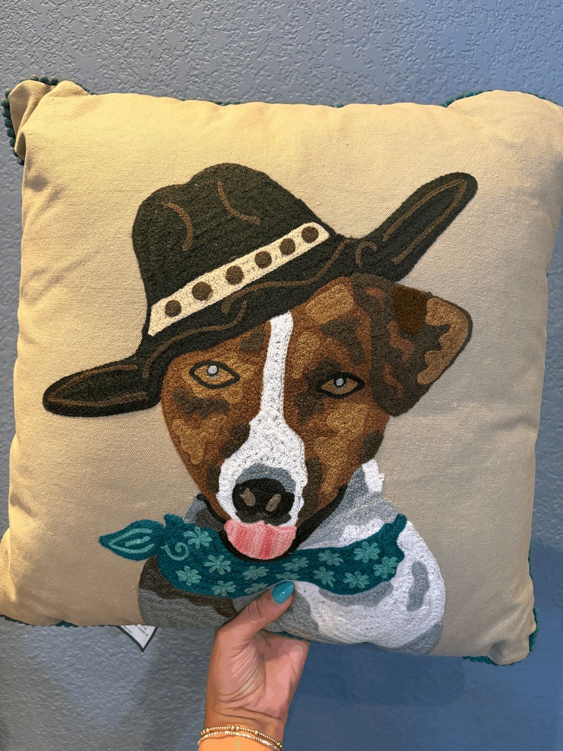 Cowboy Dog Pillow