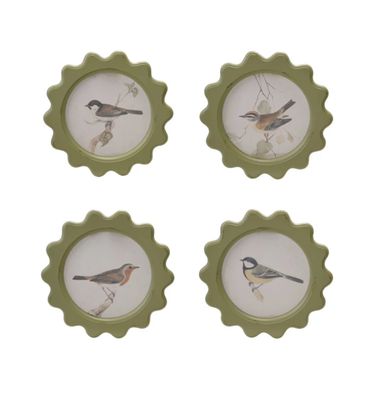 Green Circle Bird Frame