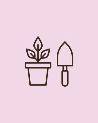 Pots and Planters