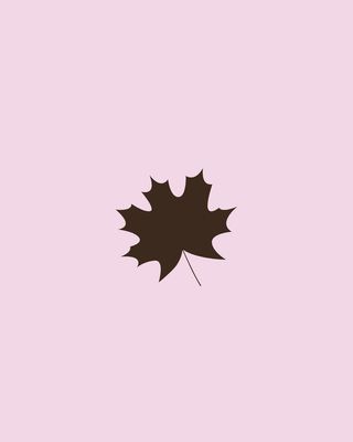 Fall