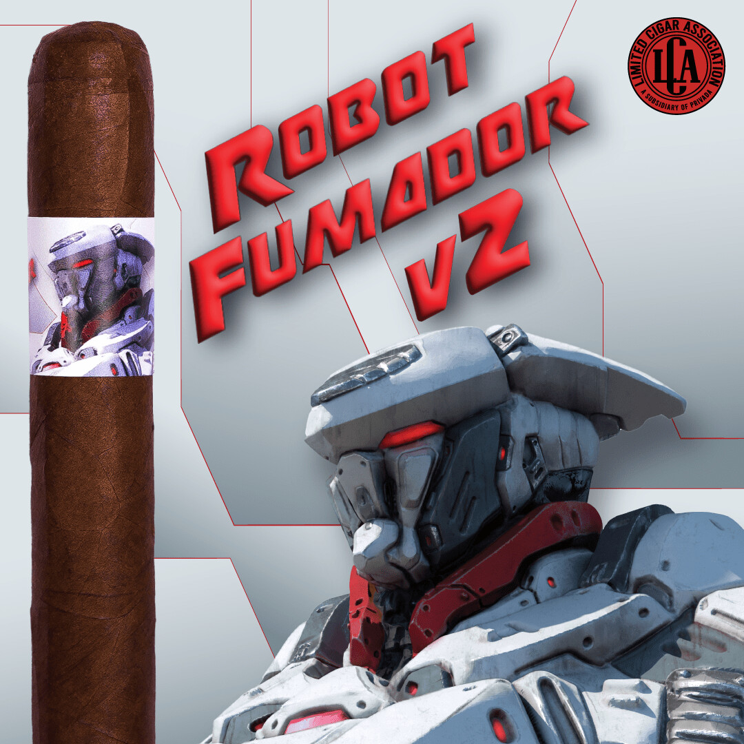 Privada Mr. Robot Fumador V2 6x50