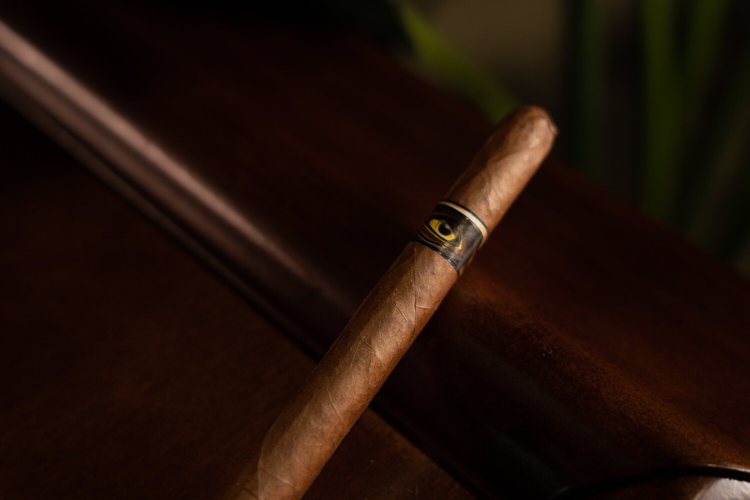 Subterraneo Orum Golden Eagle by Privada LCA 7 X 40 Single Cigar
