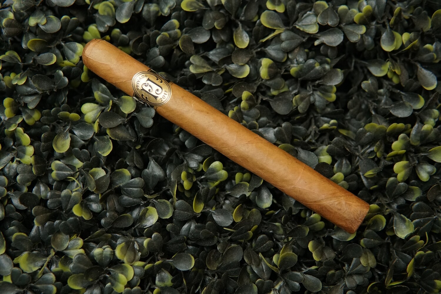 Champagne Series Jouet by Privada LCA June 6 X 41 Single Cigar