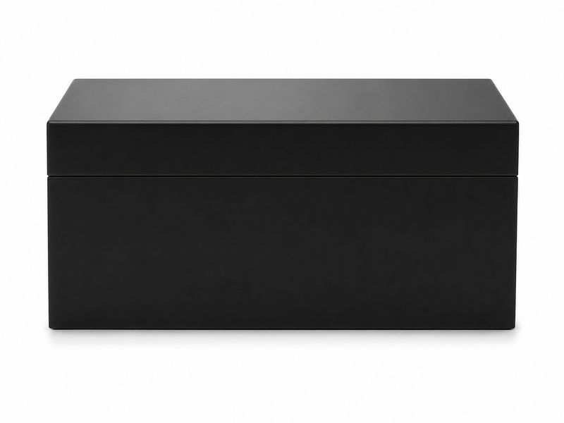 Prestige Ipmort Group black 50 Count Humidor