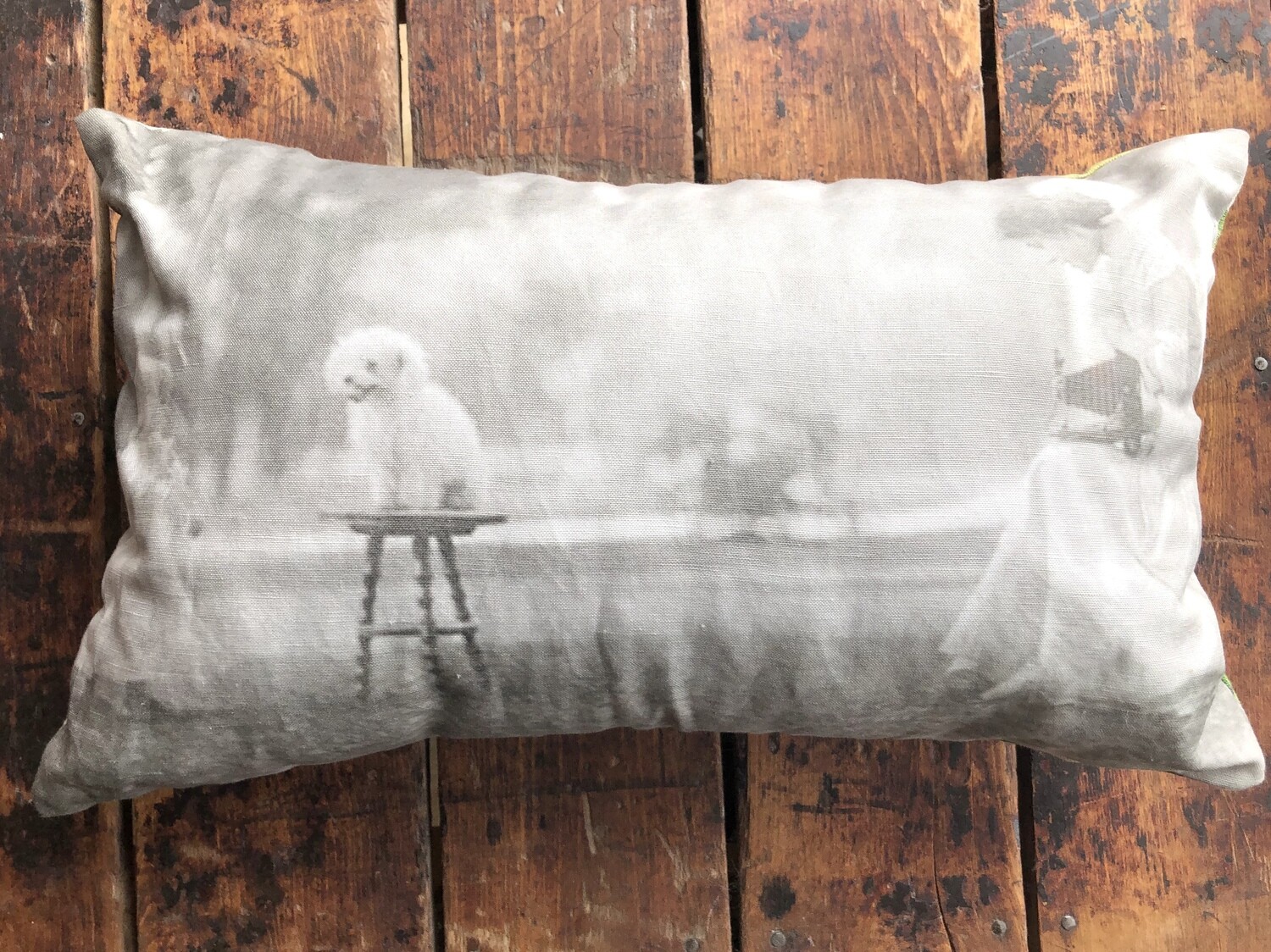 Woman Photographing Dog by Ruben R. Sallows Pillow