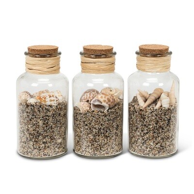 Sand &amp; Shells in Bottle
