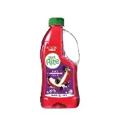 Diet Rite Apple Black Currant Cordial 1ltr