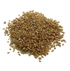 Celery Seeds 芹菜子 100 gm