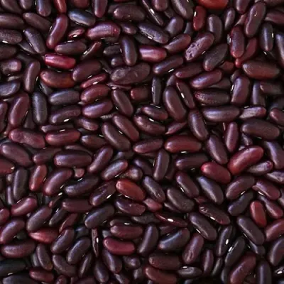 Red Kidney Beans (Rajma) 450g