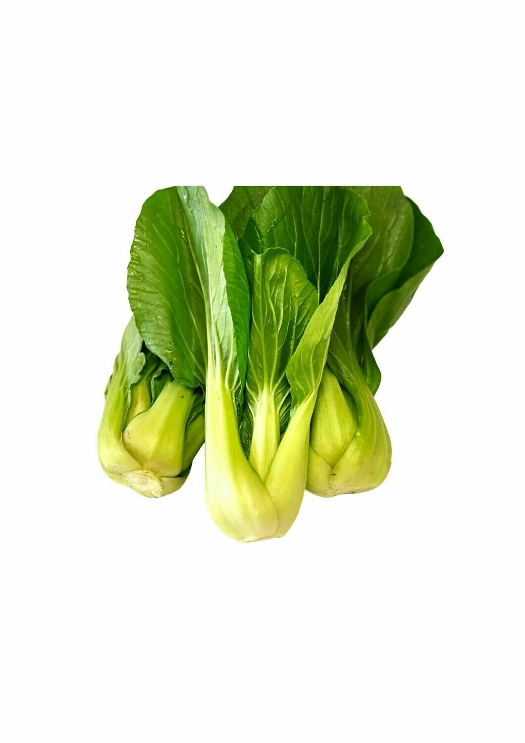 BOK CHOY BABY BUNCH OF 3 OR 4