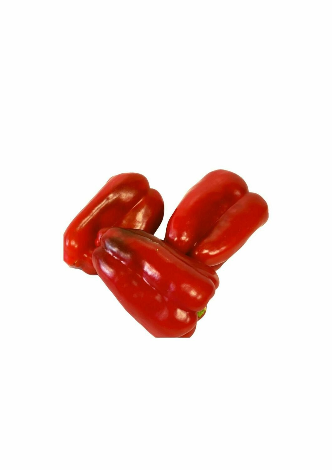 CAPSICUM RED Med Size (Each)
