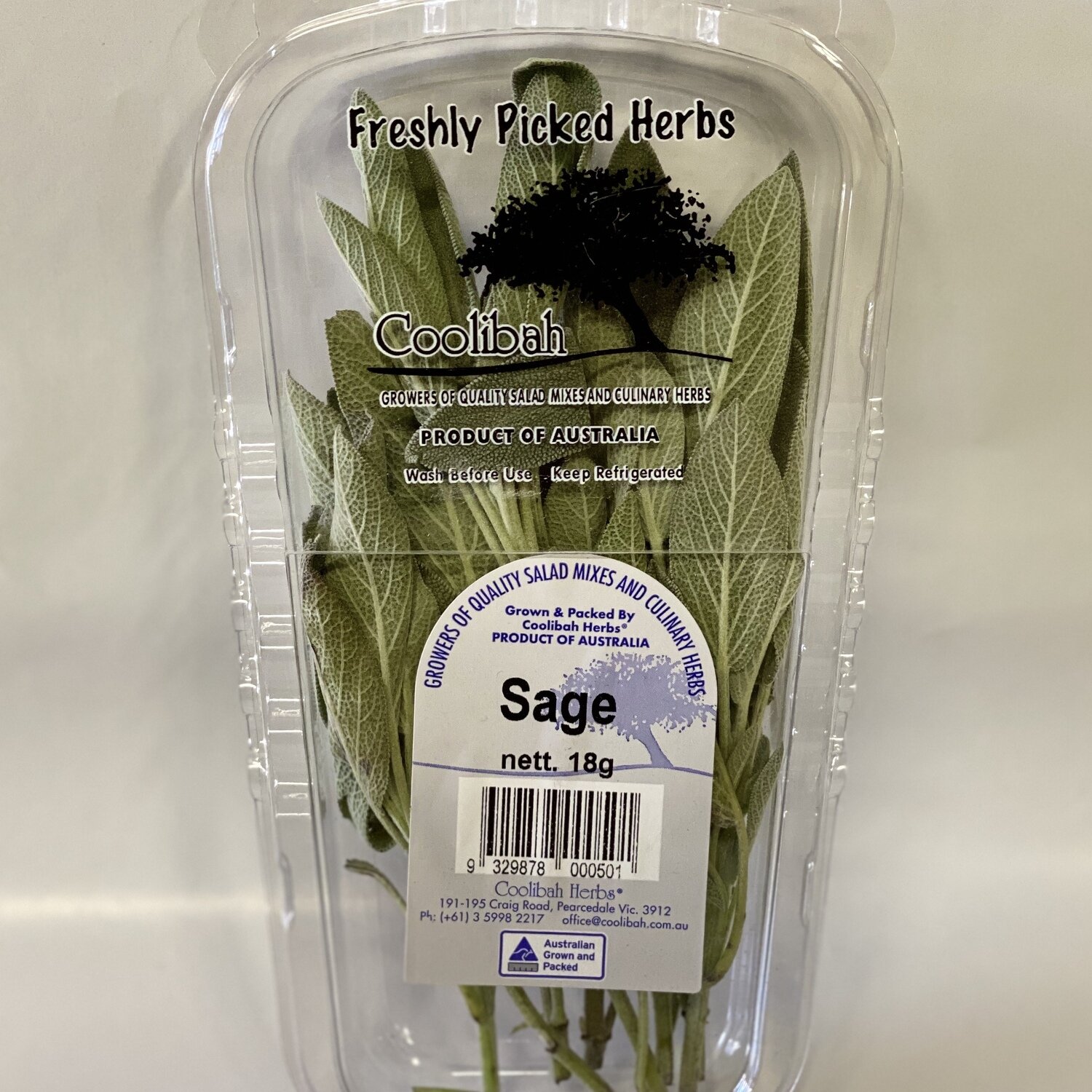 SAGE (Fresh Bunch)