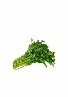 PARSLEY CONTINENTAL (BUNCH)