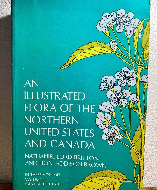 USED - Illustrated Flora of the Northern U.S. and Canada Vol. 3,  Nathaniel Lord Britton