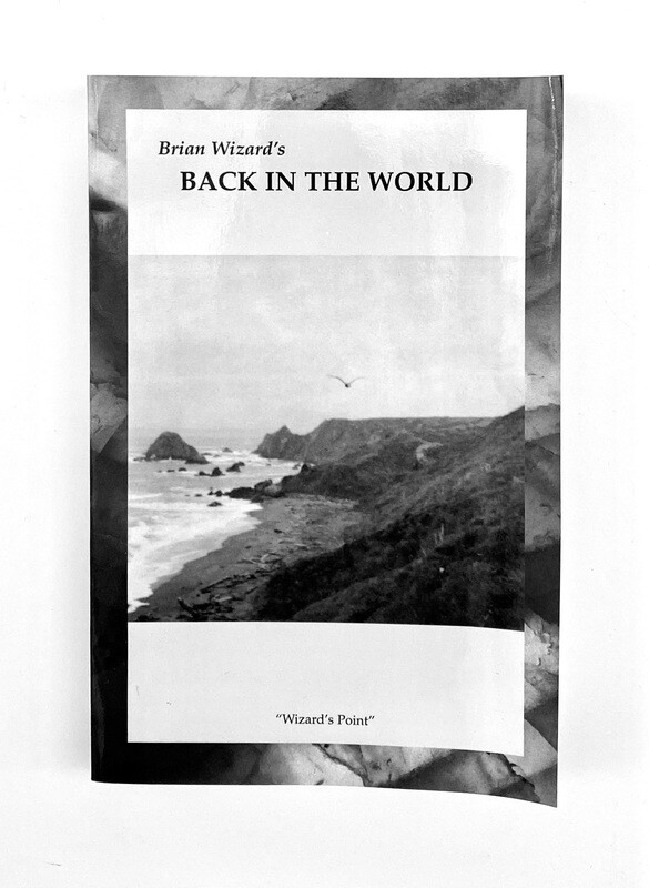 NEW - Will He Make It Saga: Back in the World (Book 2), Brian, Wizard
