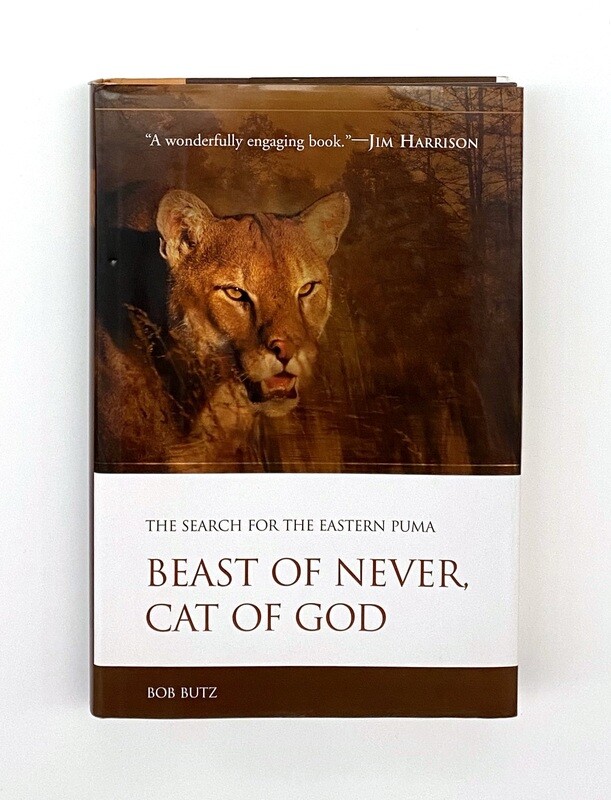USED - Beast of Never, Cat of God, Bob Butz