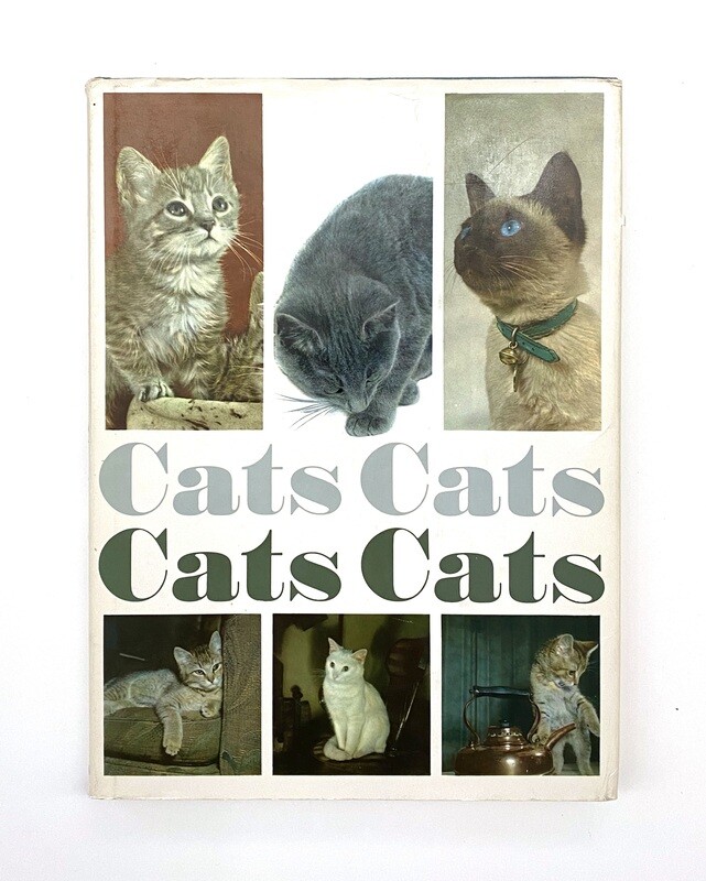 USED - Cats Cats Cats Cats, John R. Gilbert