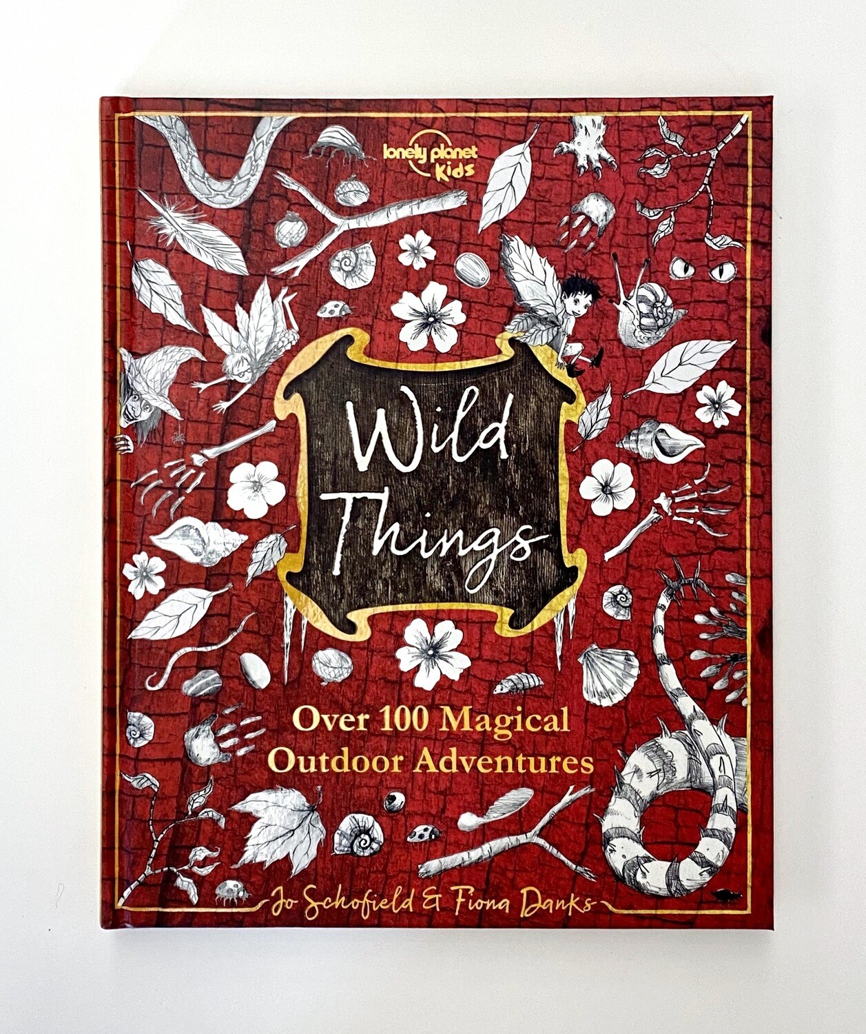 NEW - Wild Things: Over 100 Magical Outdoor Adventures, Schofield, Jo, Danks, Fiona