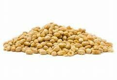 Soybeans - roasted and salted