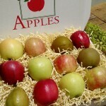 Locally Sweet Fruit Box