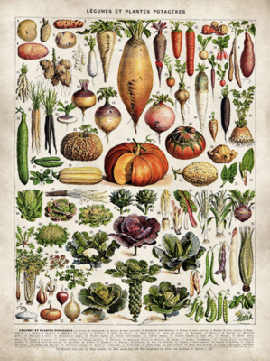 Vegetable-Herb Bulbs & Seed