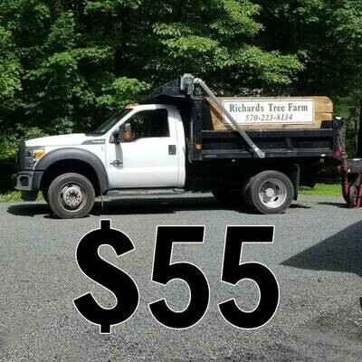 Extra Delivery $55