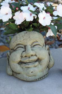 7” Laughing Hoi Toi Face (R91)