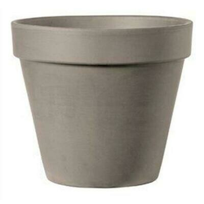 Terra Cotta Standard Clay Pot (Mocha) - 6 inch