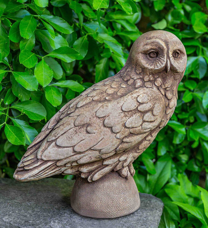Snowy Owl - AS