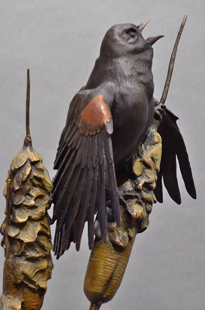 The Bard - Redwing Blackbird