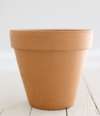 Terra Cotta Standard Clay Pot - 8 inch
