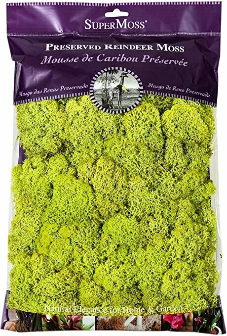 SuperMoss Preserved Reindeer Moss