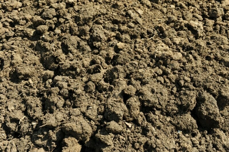 Composted Cow Manure - 40 lb Bag
