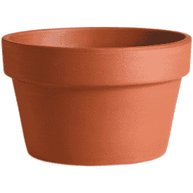 Azalea 10&quot; Terra Cotta Clay Pot