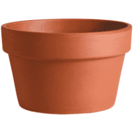 Azalea 10" Terra Cotta Clay Pot