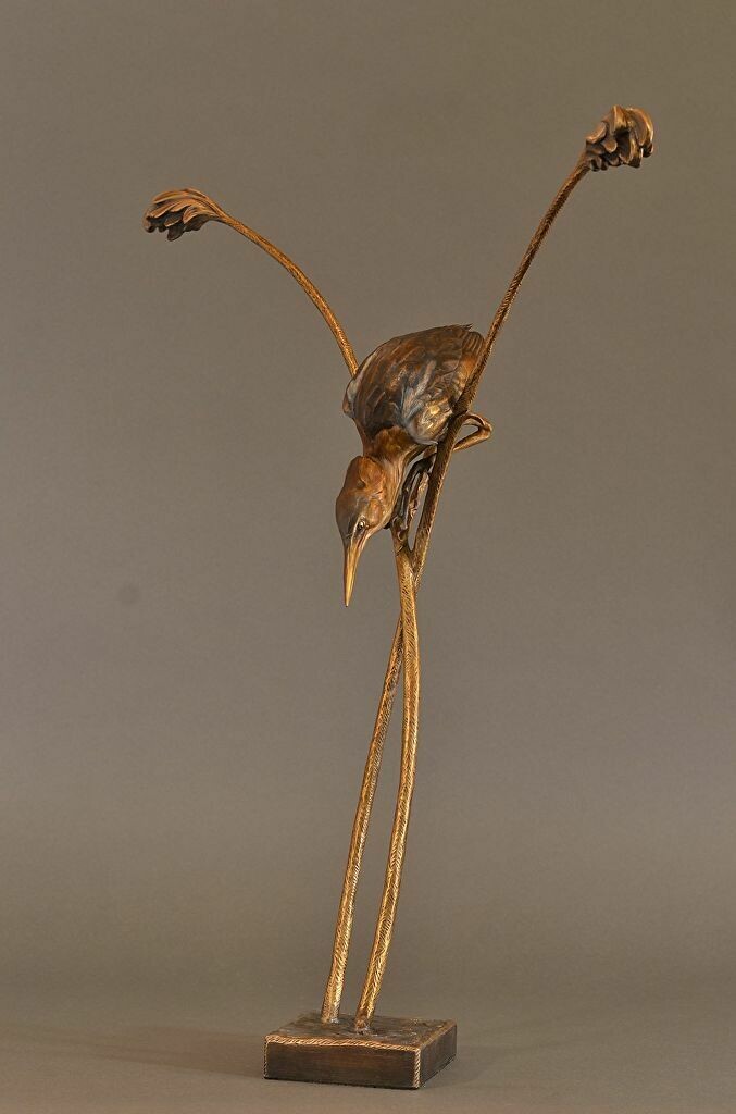 Reed Dancer Heron
