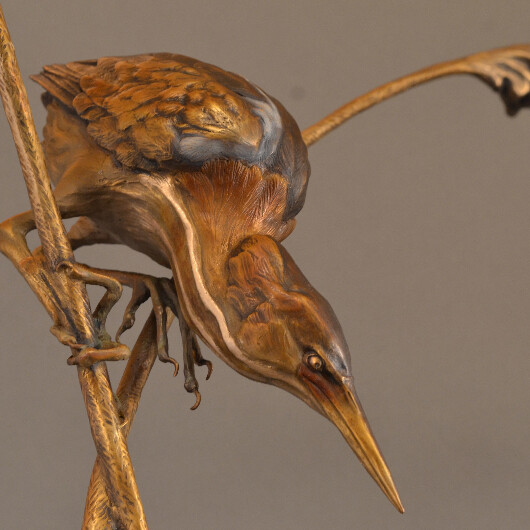 Reed Dancer Heron