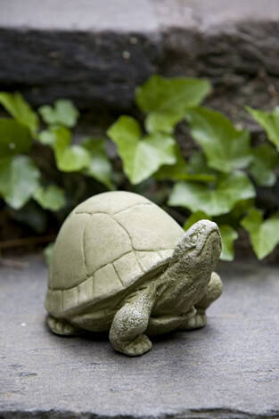 Box Turtle (GS)