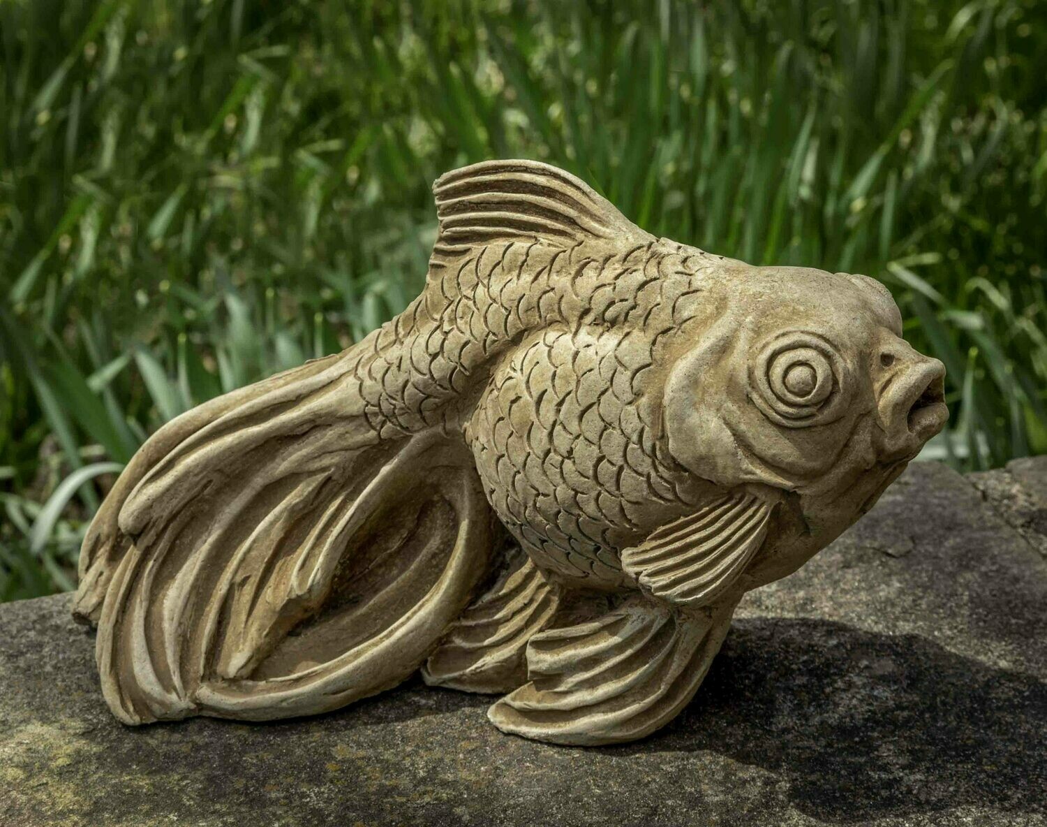 Ornamental Goldfish - AL