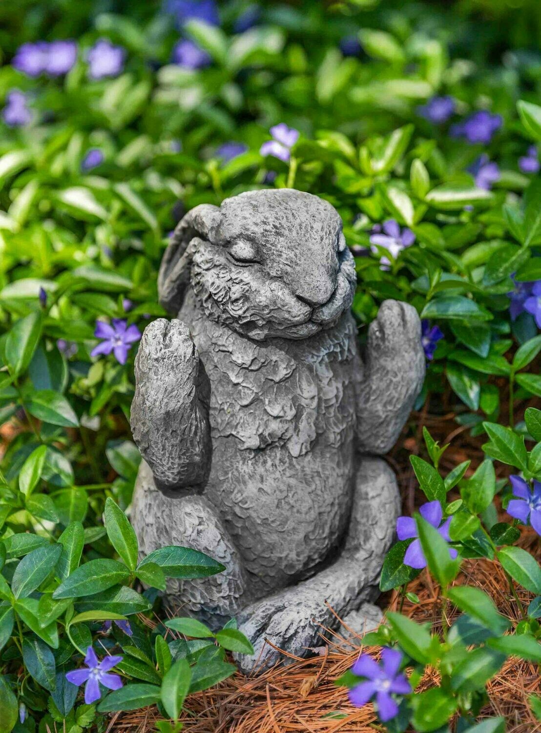 Meditation Bunny - AS